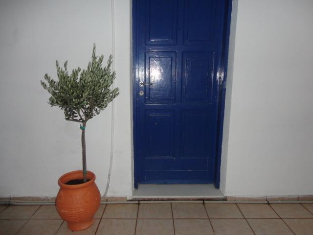 Pavlos Rooms Livadia  Eksteriør billede